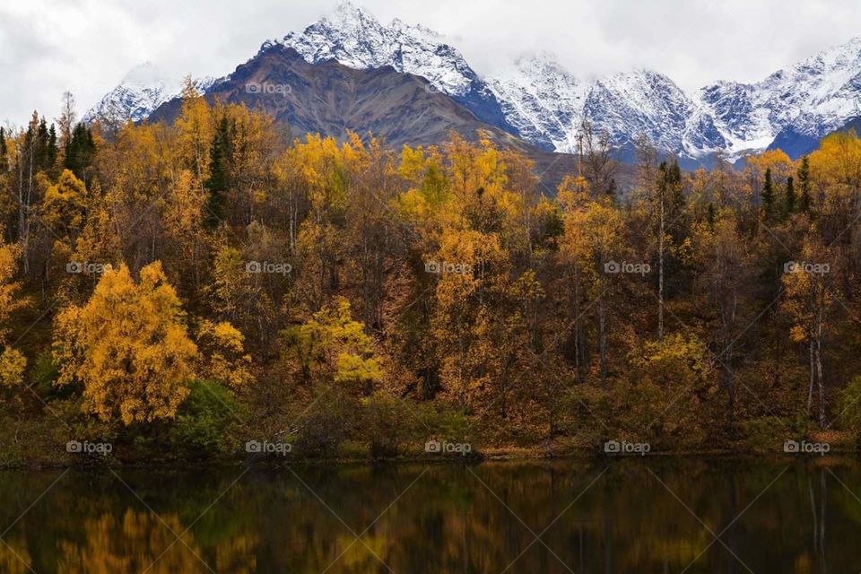 Alaska in fall
