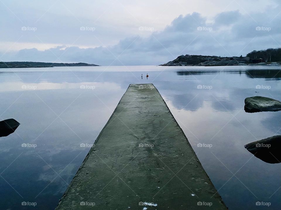 a peaceful moment by the sea