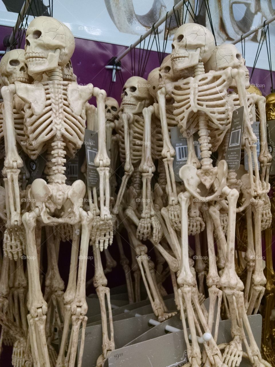 Halloween skeleton decorations