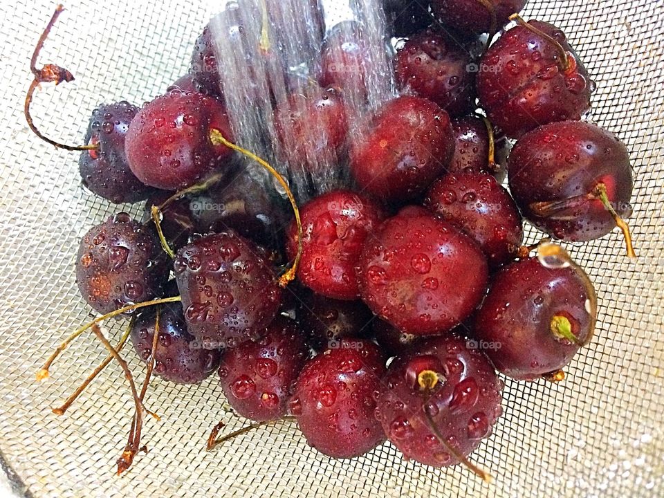 Colourful berries 