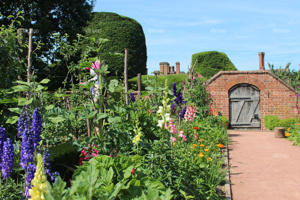 Flower border in walled garden