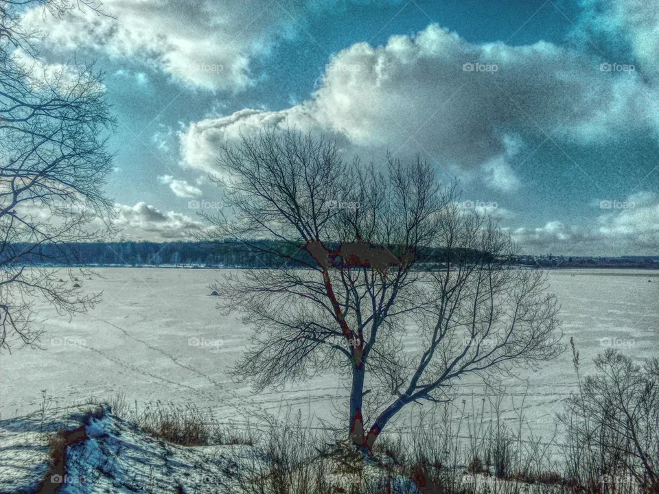 landscape