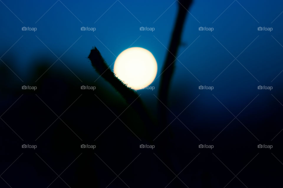 When You Sit Alone …You Sit with Your Past …