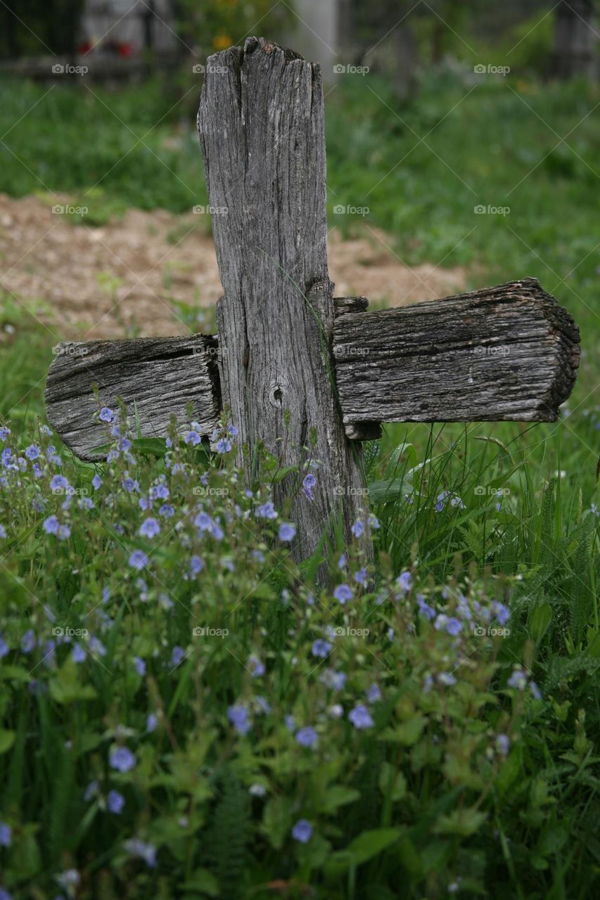 An old wood cross among blue flowers 