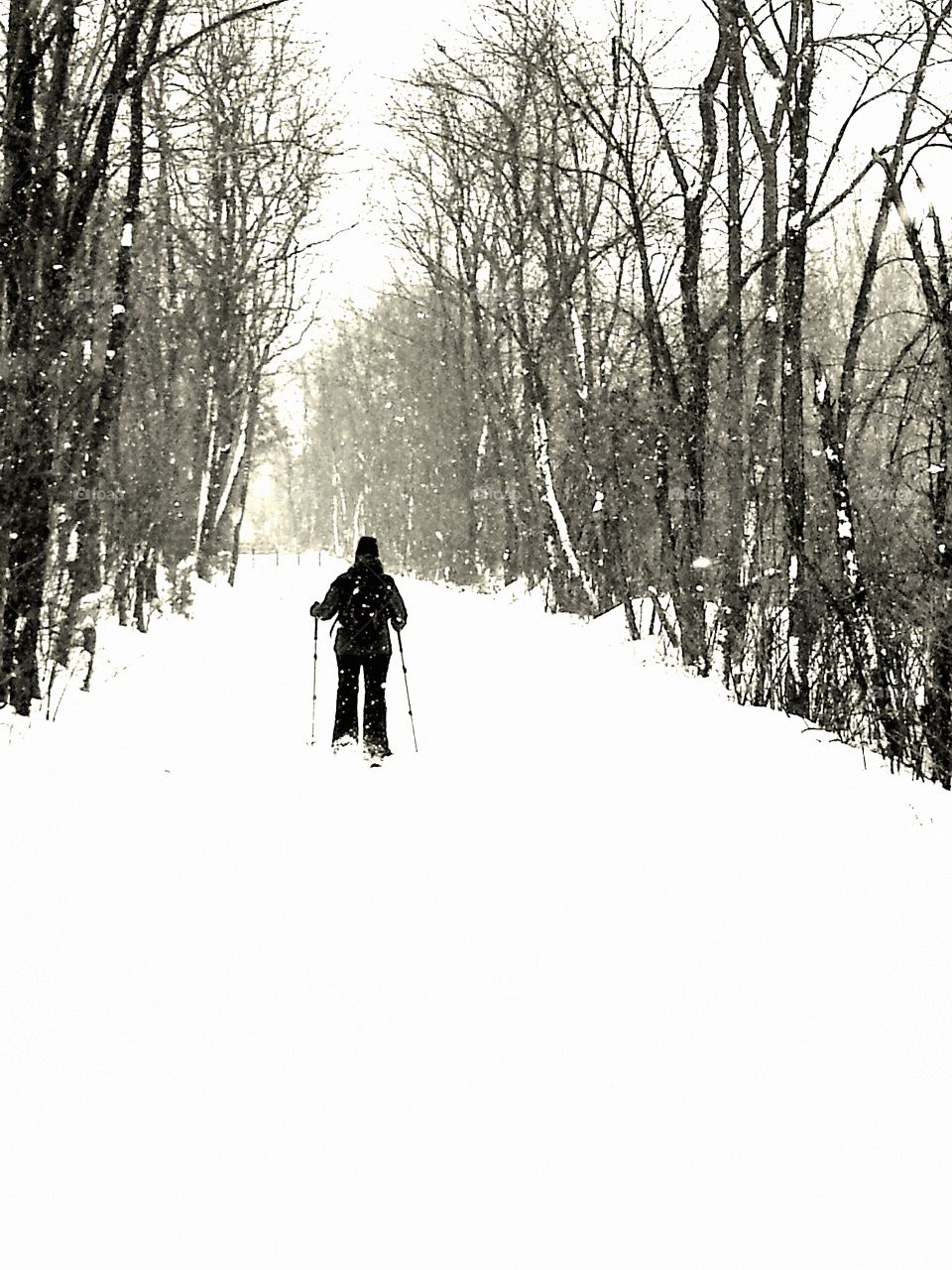 Silhouette of a woman trekking thru the woods on snowshoes during a winter storm.
