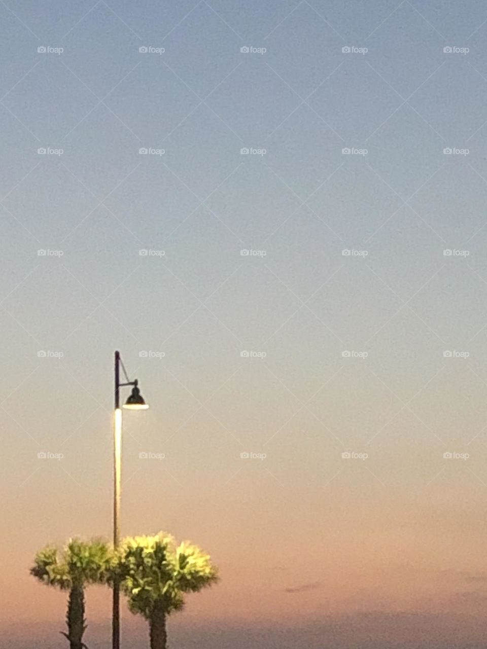 A lone light pole with two palm trees keeping it company at sunset in Rockport TX!