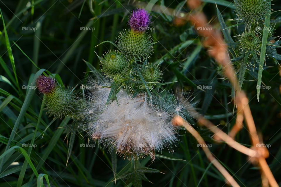 Need ... be ..... ДАРИМ   ВСЕ.. .. all ..