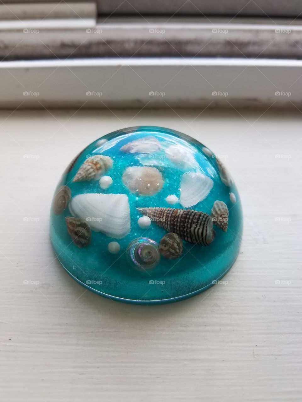 sea shell paperweight