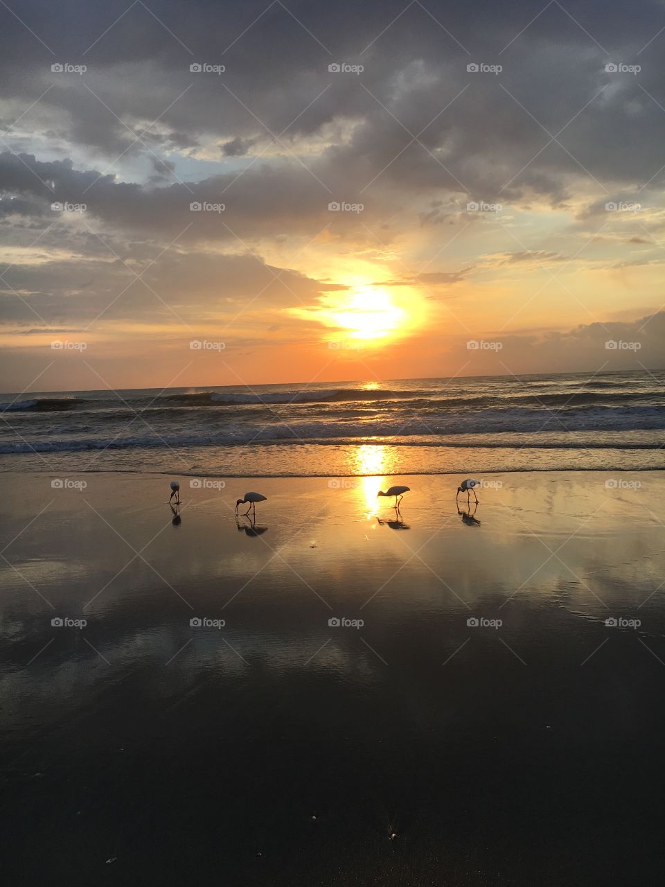 Was very early but very with it