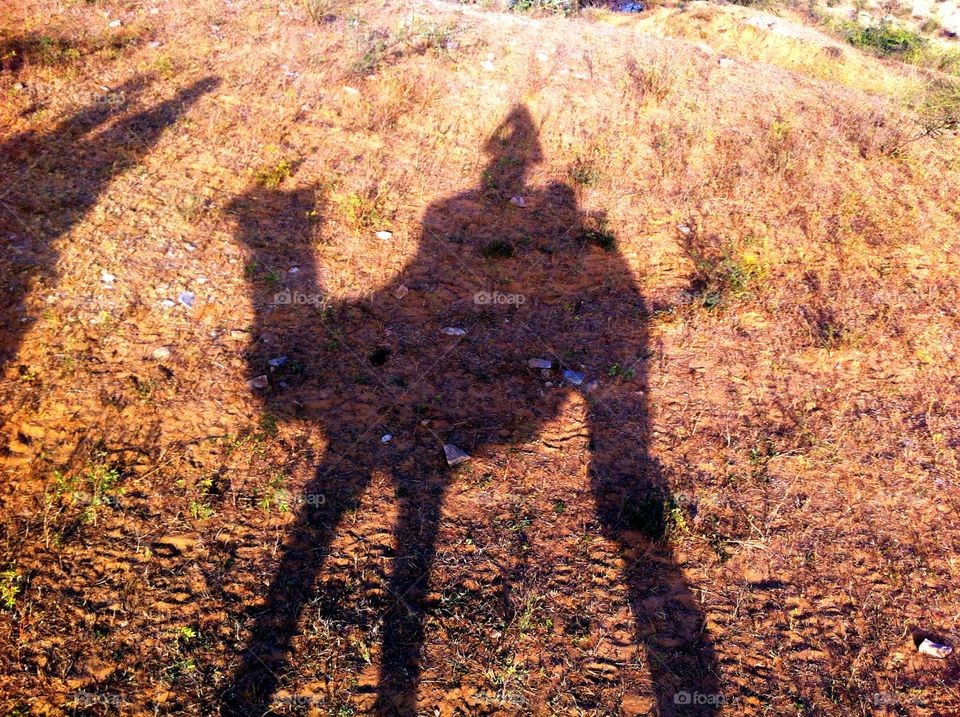 Desert shadow 