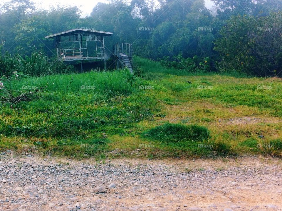A foggy morning in a village
