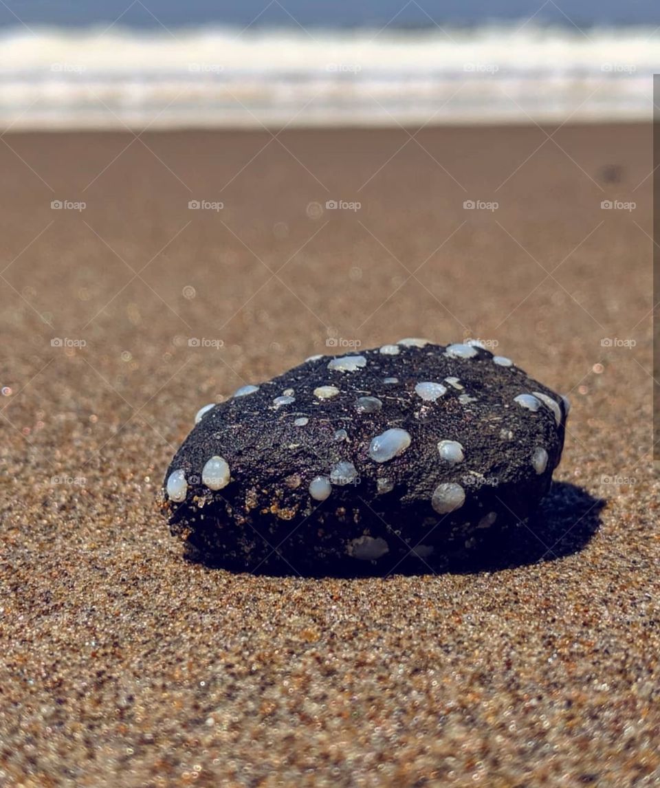 Odd Beach Rock. I honestly don't know what's on it.