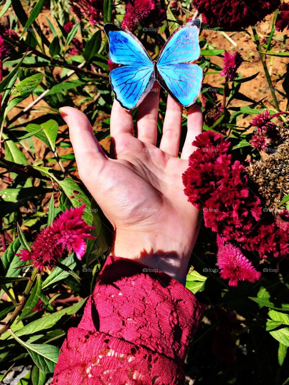 Cores vivas e sublimes.