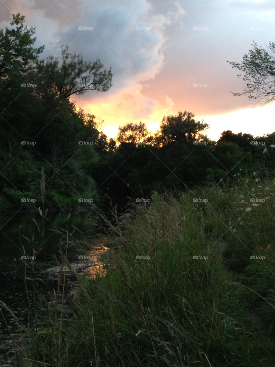 Creek sunset