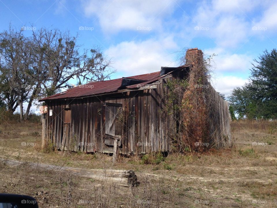 cabin in rural florida