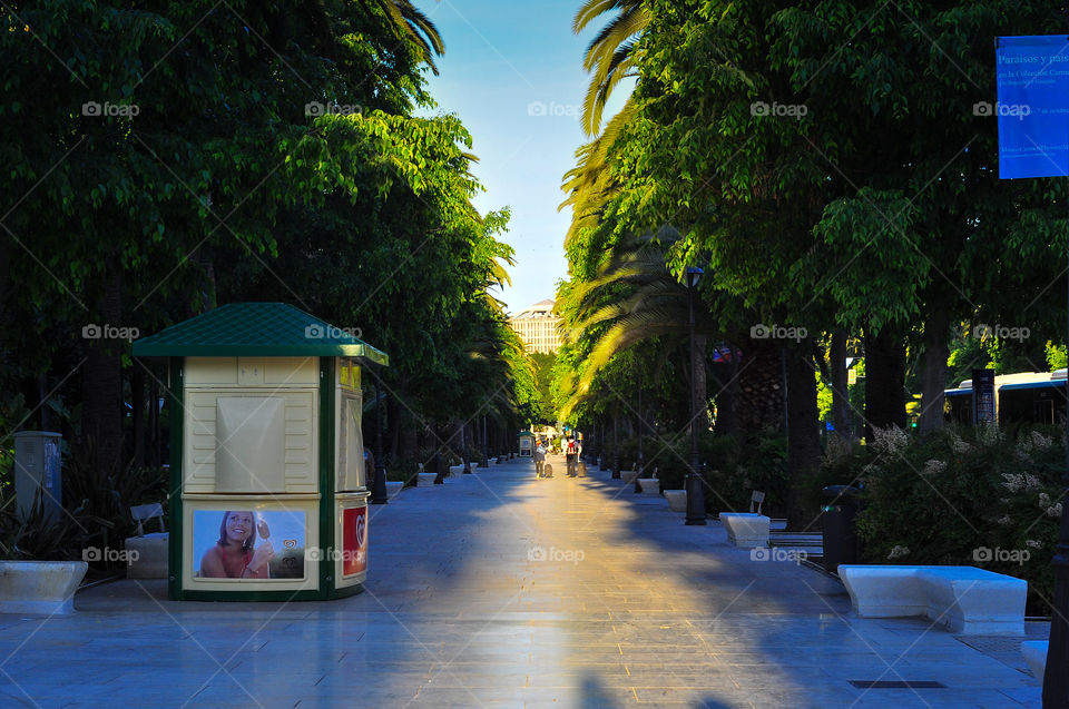 Empty morning street in Malaga city park 
