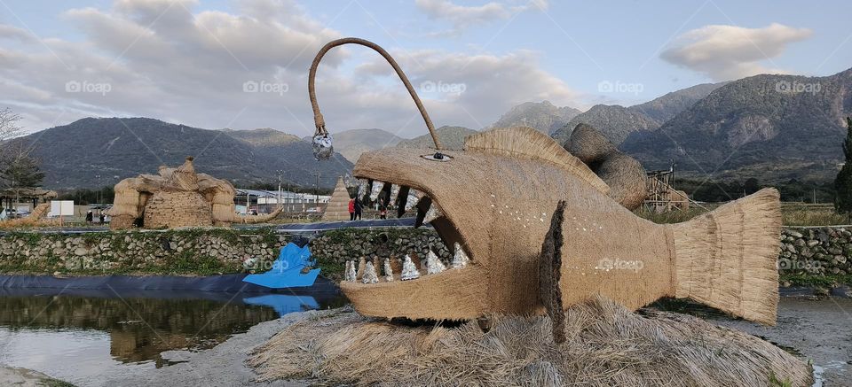 Straw lantern fish in the park