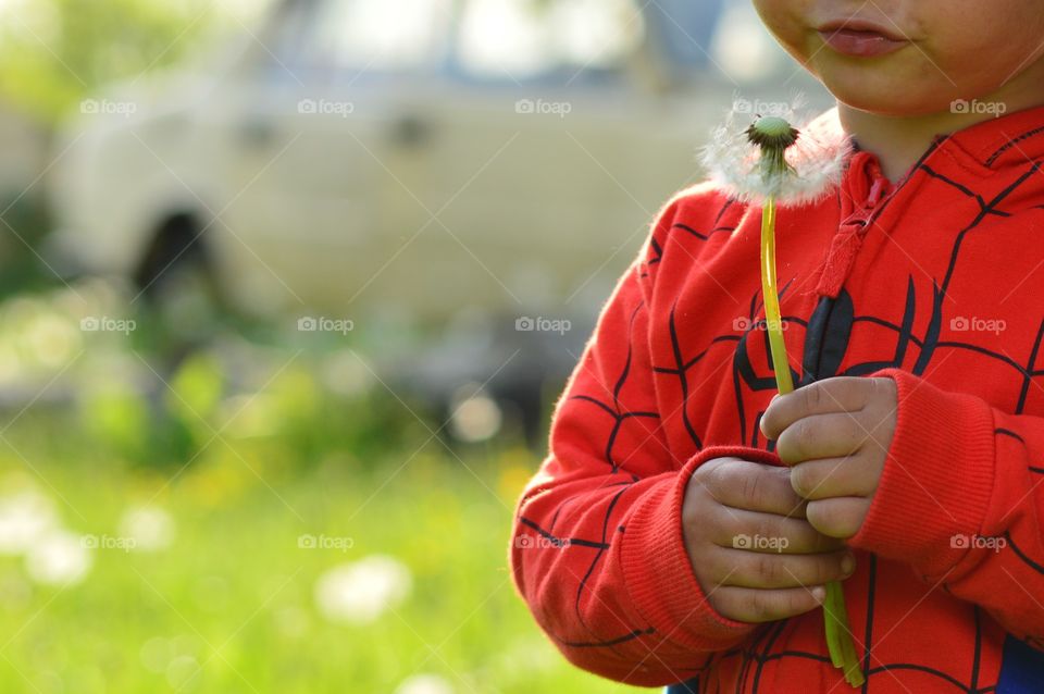 Little boy with a blower series