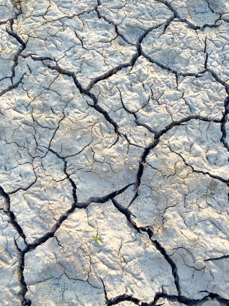 Cracking earth with the drought 