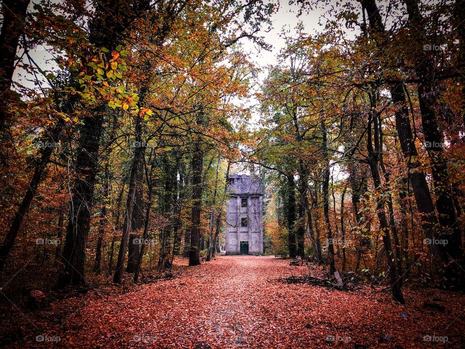 Abandoned building in autumn