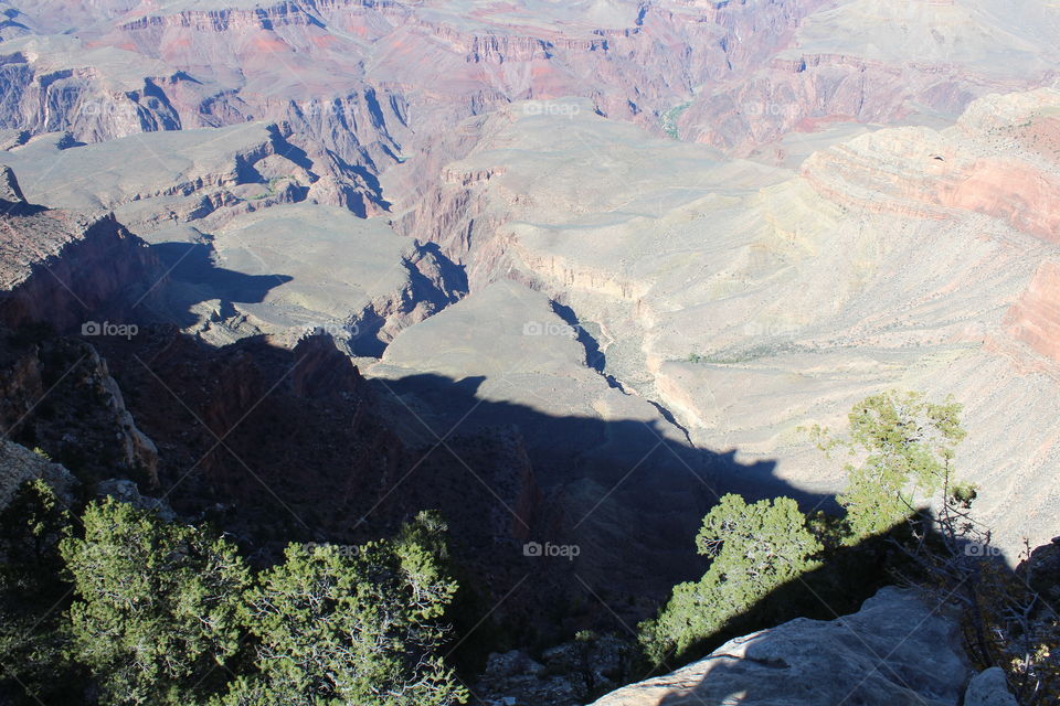 Grand Canyon View