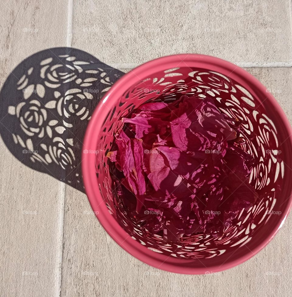 vase with dry petals and shadows beautiful texture abstract background