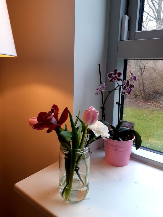 flowers in a vase