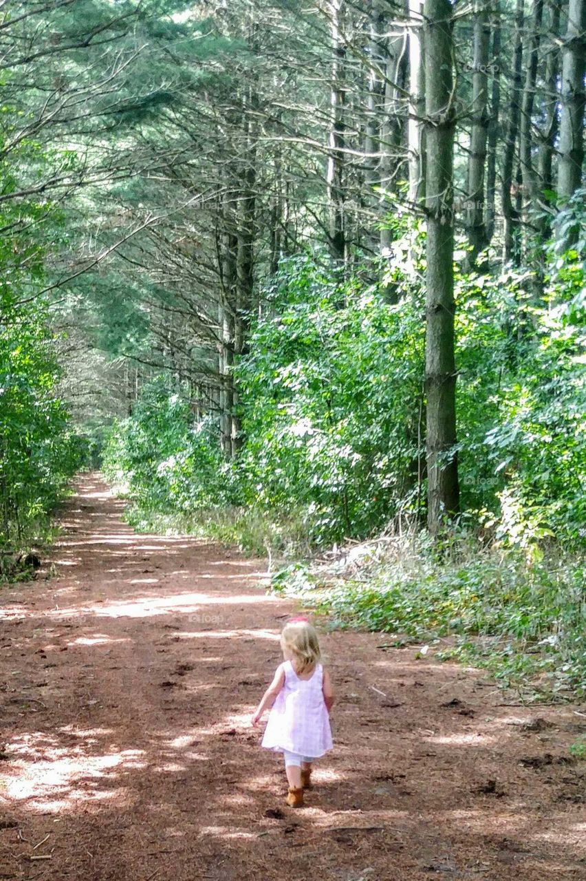 a stroll in the woods