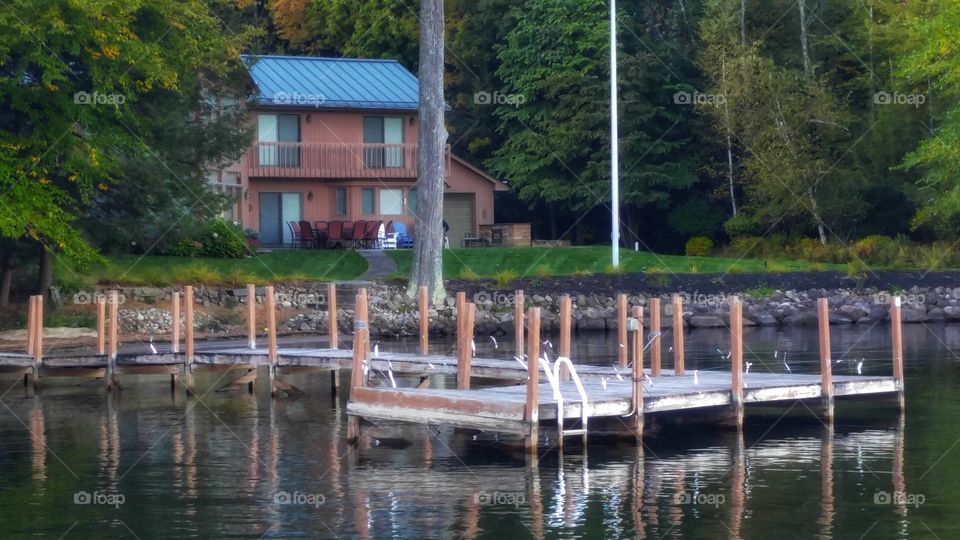 Reflected Dock