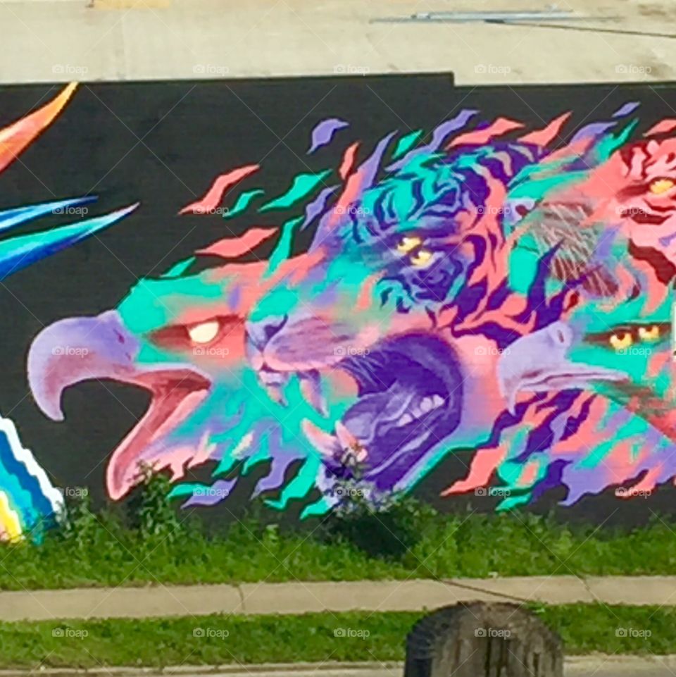 Street graffiti in Austin, Texas.