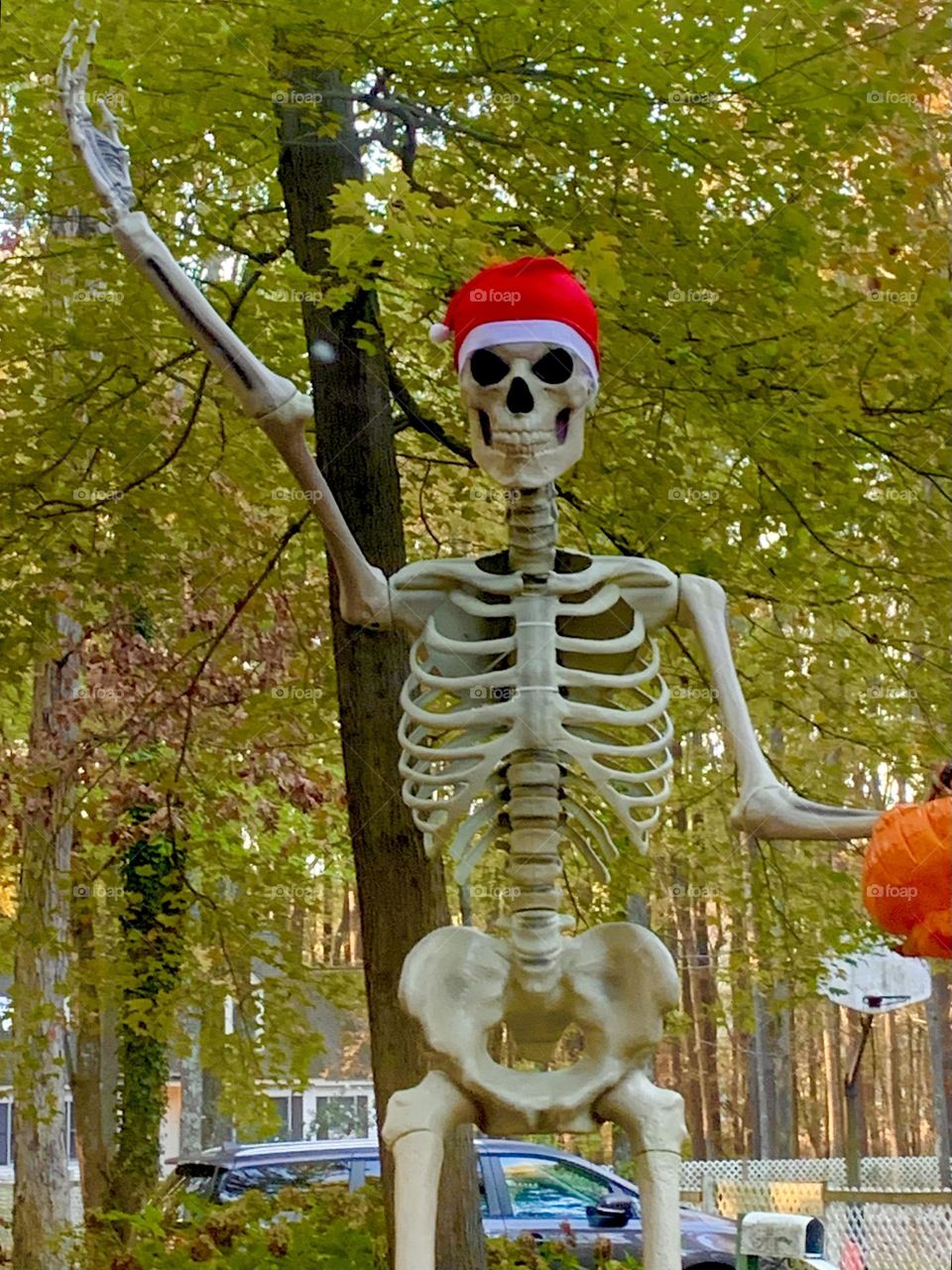 Skeleton Christmas 