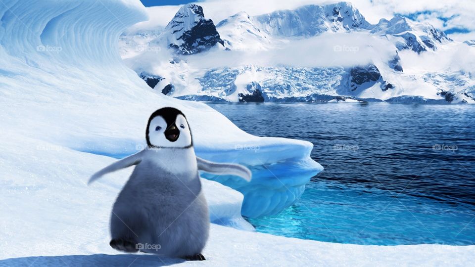 Iceberg with penguin walking 