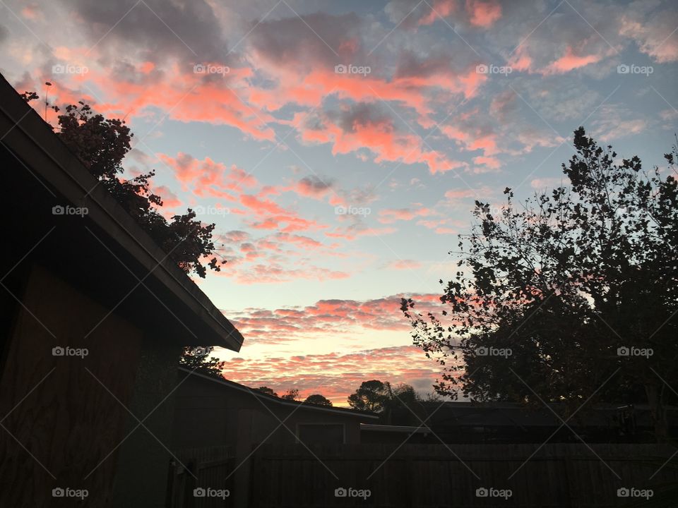 Pink clouds in Florida sky