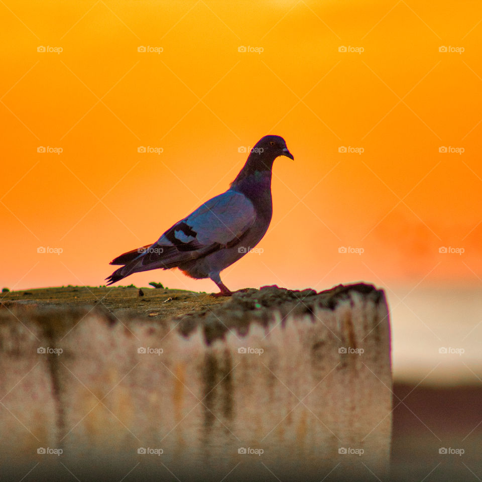 Remember: the time you feel lonely is the time you most need to be by yourself.