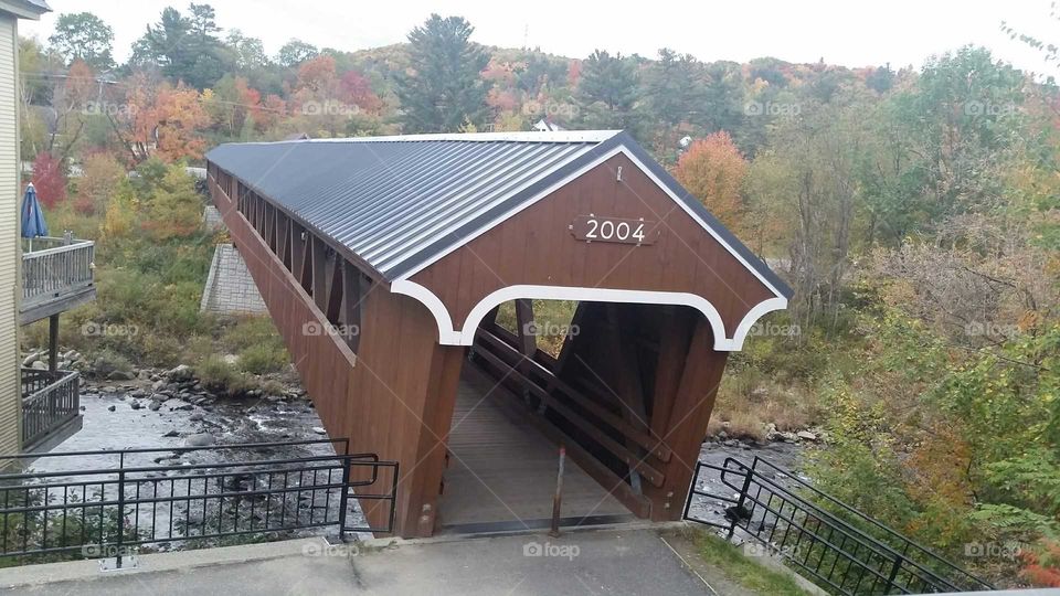 covered bridge in fall