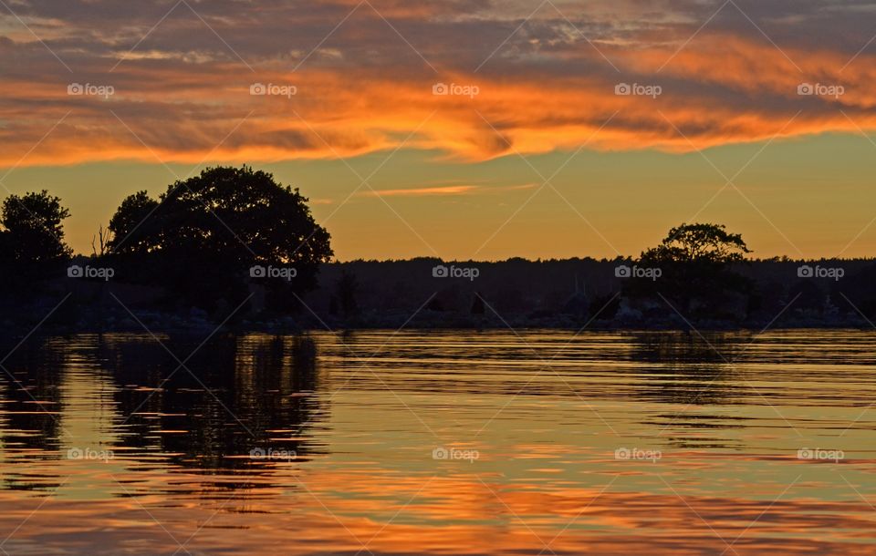 Reflection of sunset and trees in water