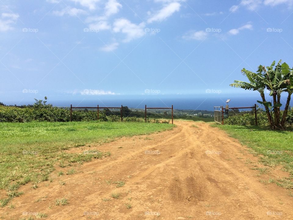 A country road in the highlands of Hawaii overlooking the ocean.