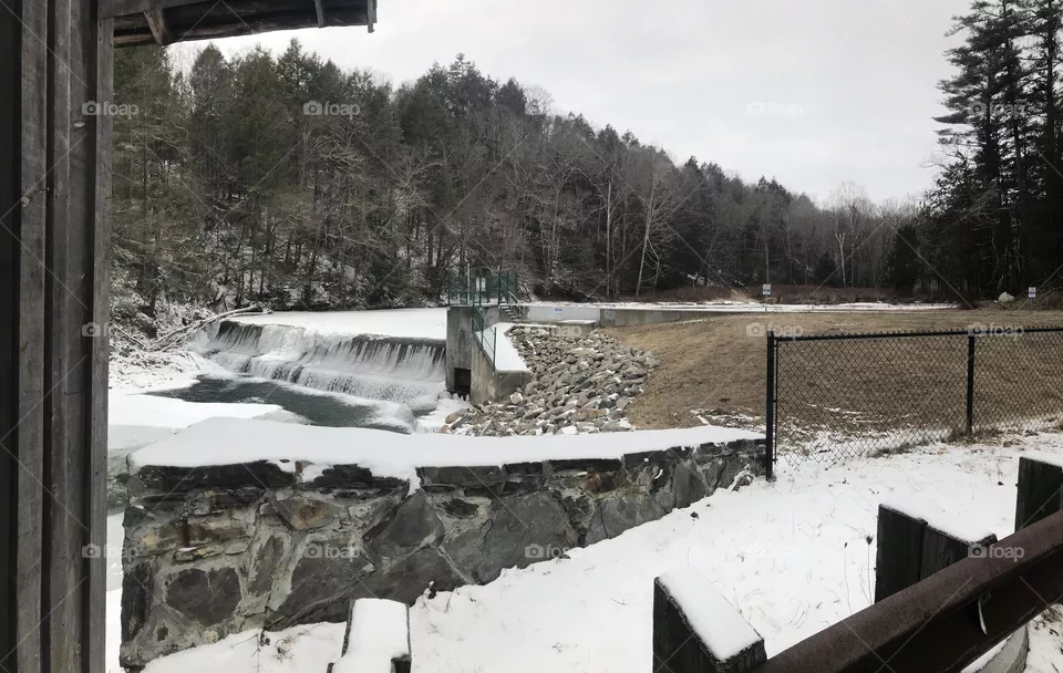 Frozen