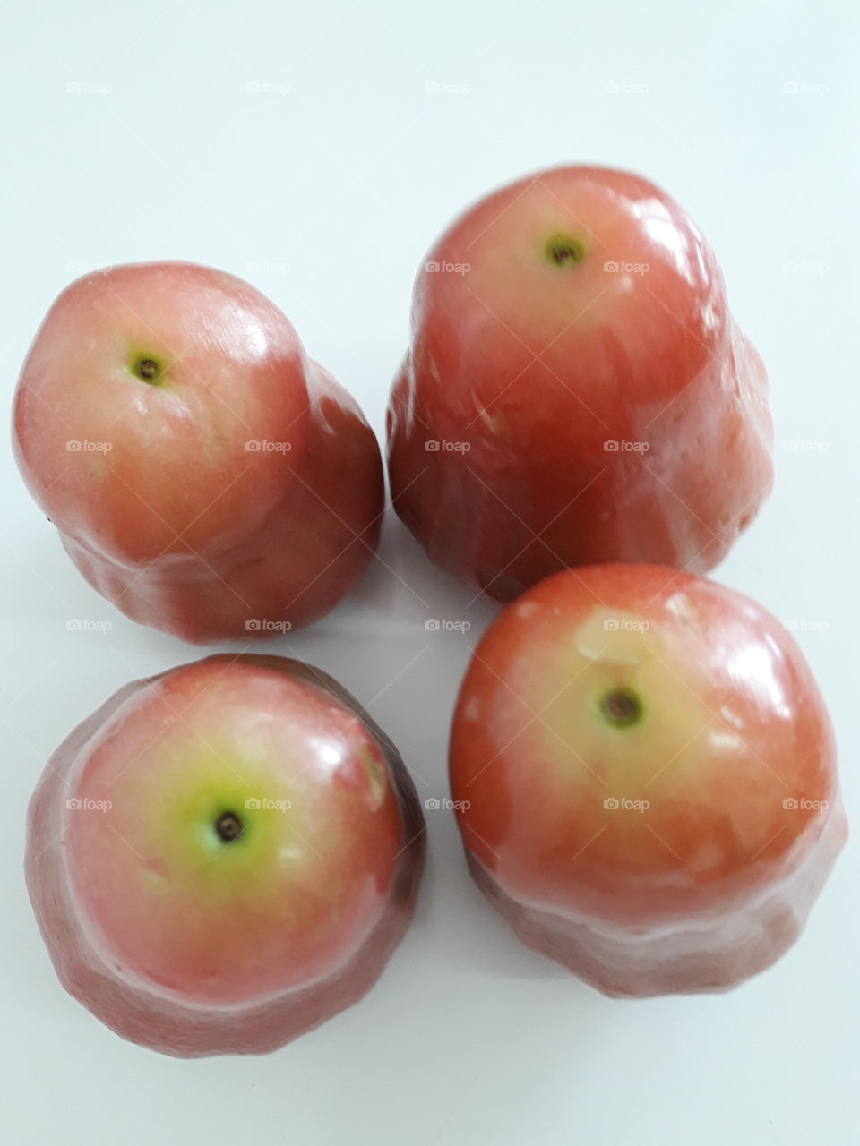 fresh rose apple fruit