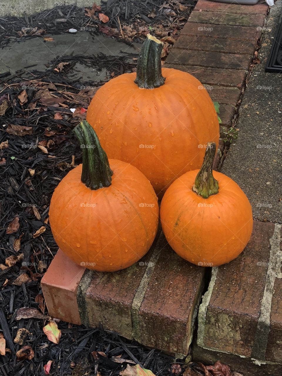 outside pumpkins on front porch trio
