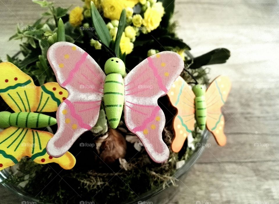 flower in pot with butterflys