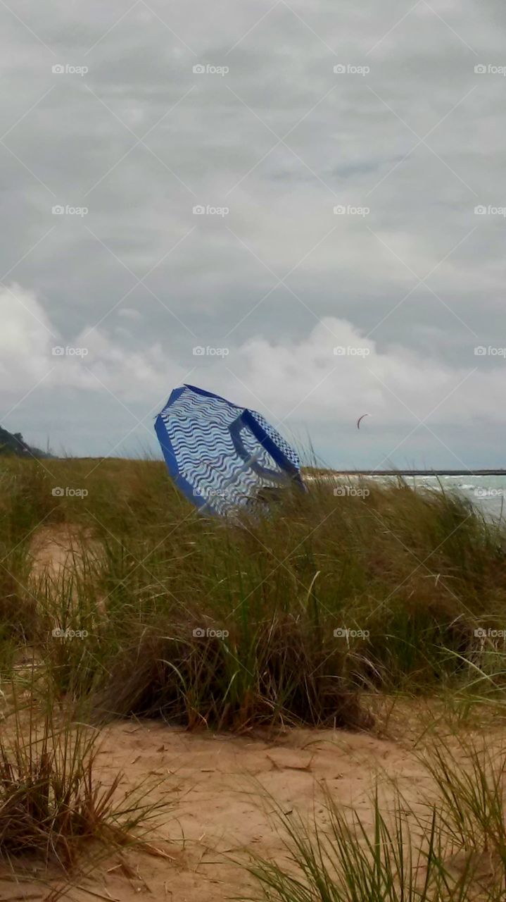 The Beach umbrella