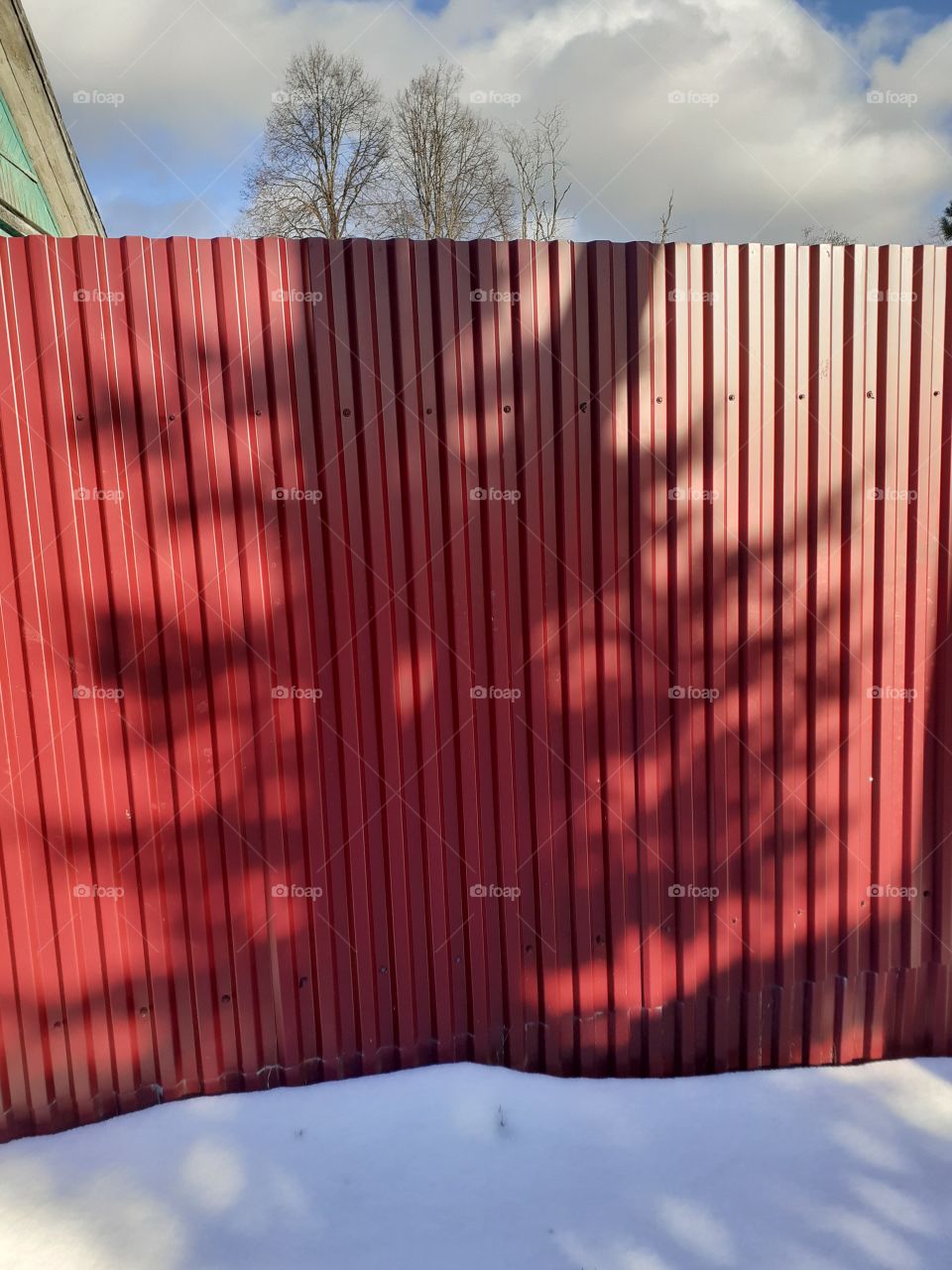 тень дерева