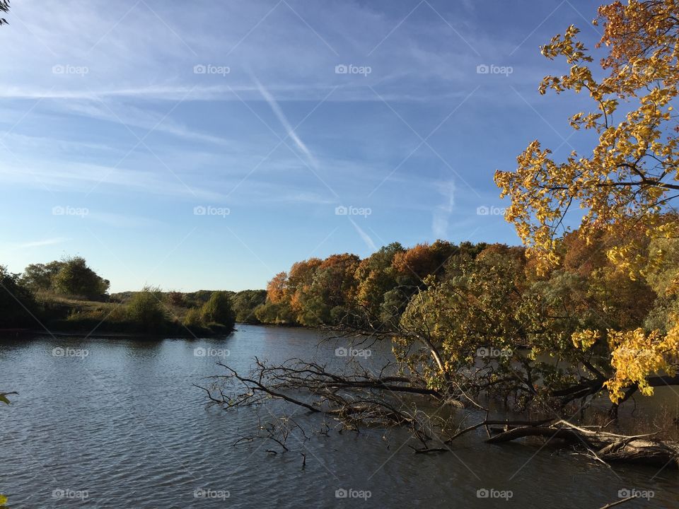 golden leaf fall time