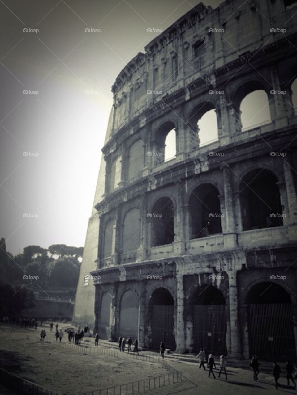 Roman  Colosseum 