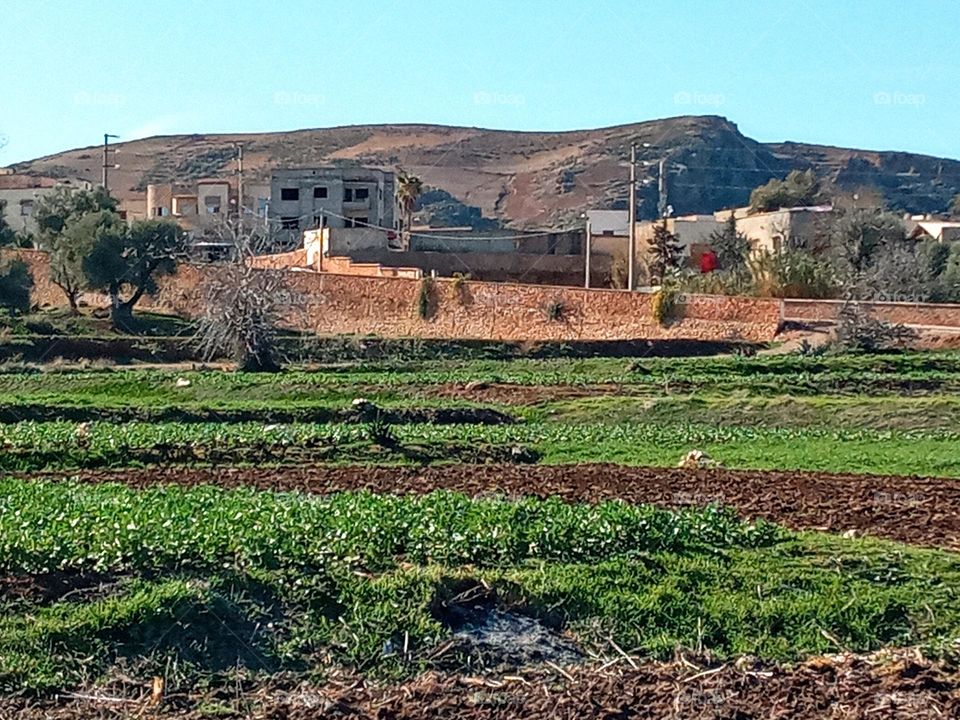 Population between the agricultural lands