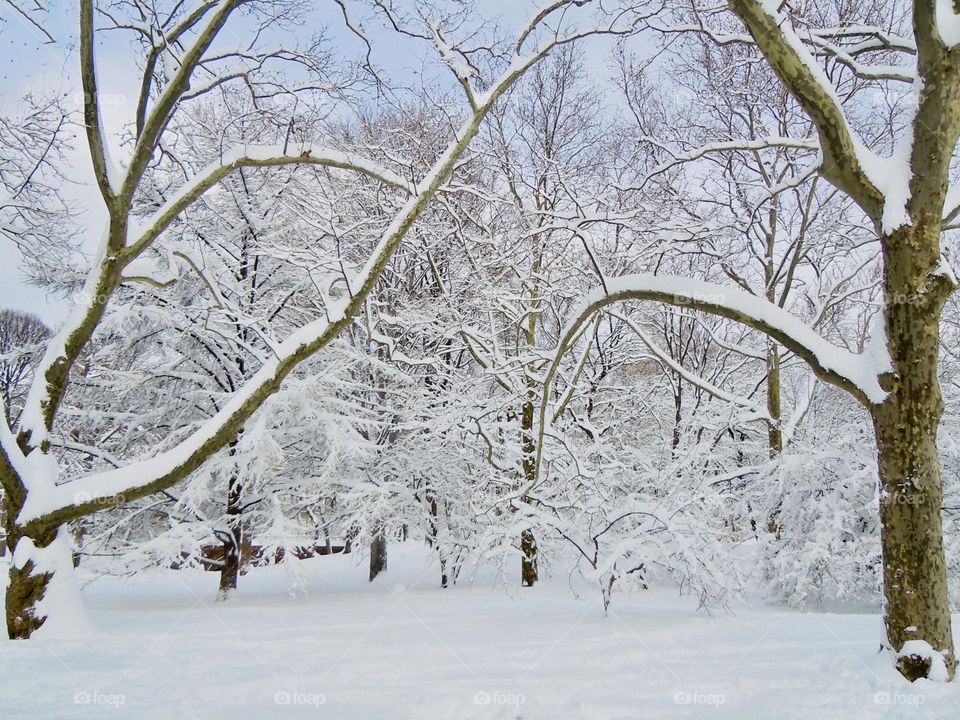 Snow- It’s like the whole world is wrapped up in this peaceful comforting blanket. 