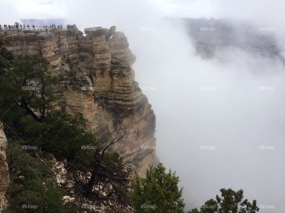 Fog in the canyon