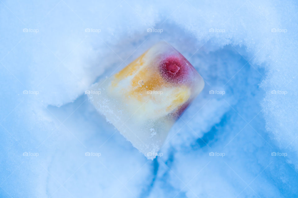 Orange and grape in ice