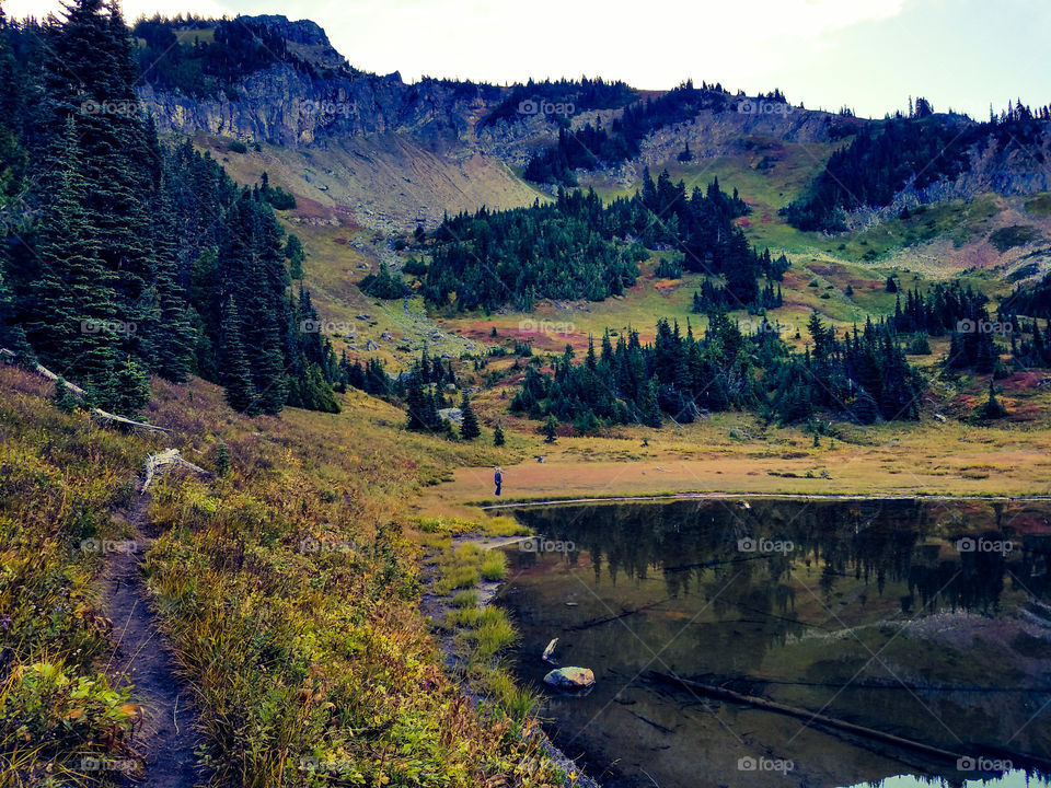 A fellow photographer look for a good spot